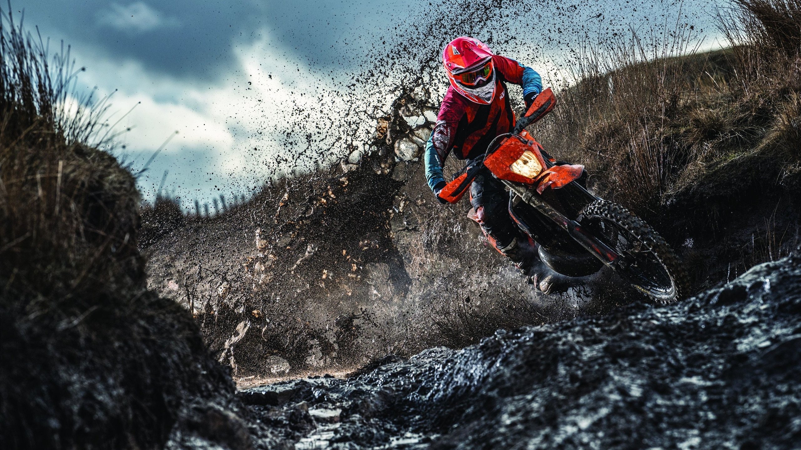 从雄鹿到世界舞台，字母哥的强势晋级与拉梅洛·鲍尔的2026世界杯接管预言